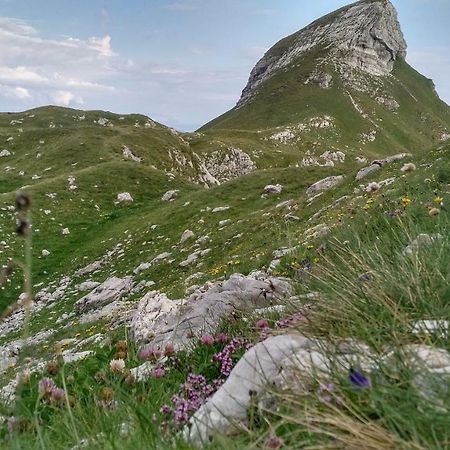 Apartments Durmitor Zabljak  Luaran gambar