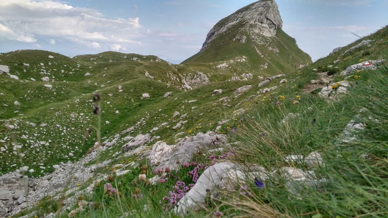 Apartments Durmitor Zabljak  Luaran gambar