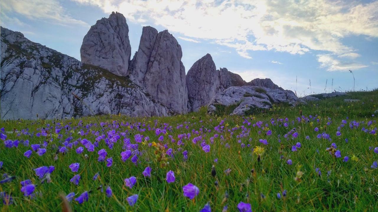 Apartments Durmitor Zabljak  Luaran gambar