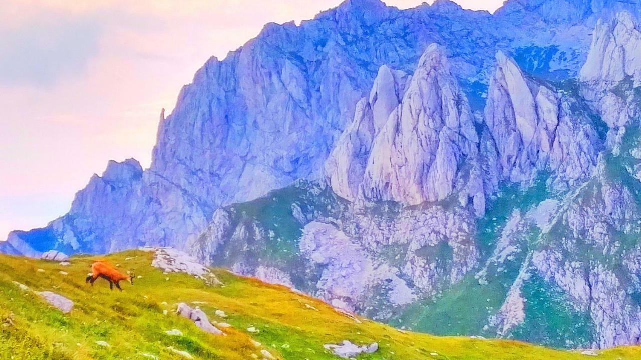 Apartments Durmitor Zabljak  Luaran gambar