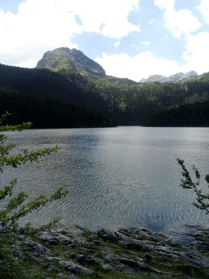 Apartments Durmitor Zabljak  Luaran gambar
